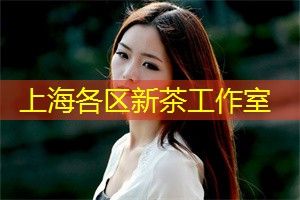 上海新茶工作室：高手之选！上海新茶工作室教你如何辨别优质茶叶！
