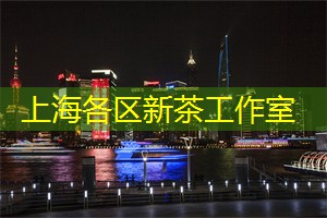 <strong>爱上海419</strong>：上海会所文化盛典：探索艺术与品味的完美邂逅!