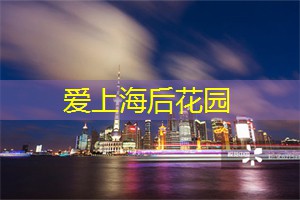 上海新茶资源：体验上海夜间河岸文化：多彩灯光中的浪漫之旅
