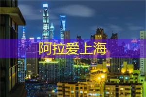 爱上海：您可以在阴凉的树荫下